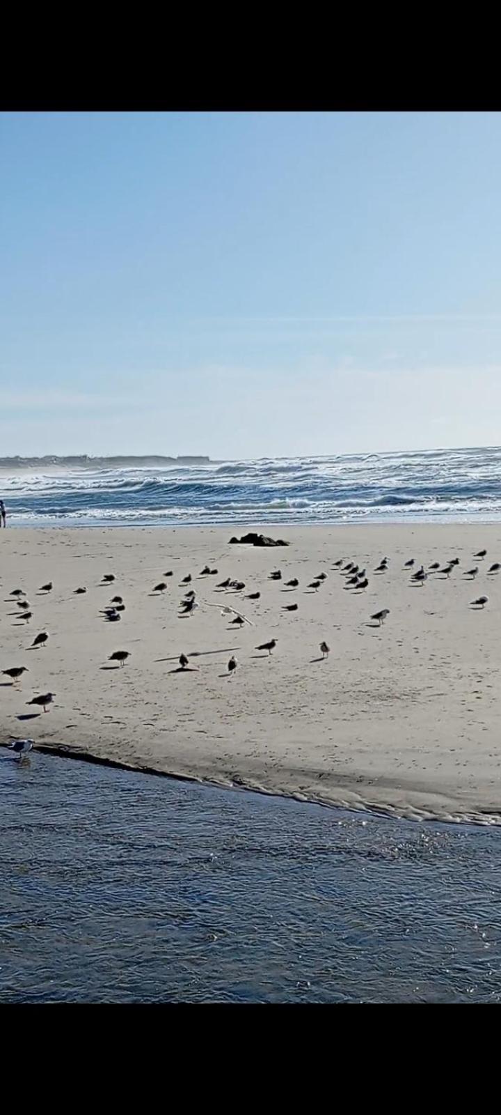 Atico Maravilloso En Cangas , Vigo Luaran gambar